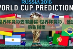 世界杯竞彩去哪里买-世界杯竞彩，便捷购彩指南