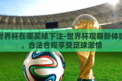 世界杯在哪买球下注-世界杯观赛新体验，合法合规享受足球激情
