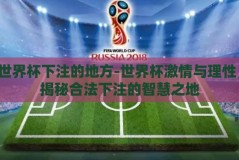 世界杯下注的地方-世界杯激情与理性，揭秘合法下注的智慧之地