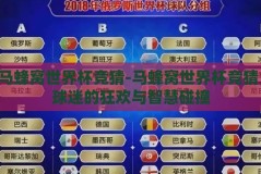 马蜂窝世界杯竞猜-马蜂窝世界杯竞猜，球迷的狂欢与智慧碰撞