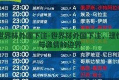 世界杯外围下注-世界杯外围下注，理性与激情的边界