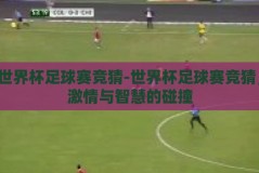 世界杯足球赛竞猜-世界杯足球赛竞猜，激情与智慧的碰撞