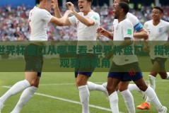 世界杯盘口从哪里看-世界杯盘口，揭秘观赛新视角