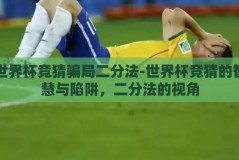 世界杯竞猜骗局二分法-世界杯竞猜的智慧与陷阱，二分法的视角
