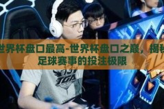 世界杯盘口最高-世界杯盘口之巅，揭秘足球赛事的投注极限