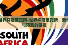 世界杯冠军竞猜-世界杯冠军竞猜，激情与预测的碰撞