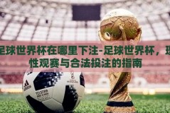 足球世界杯在哪里下注-足球世界杯，理性观赛与合法投注的指南