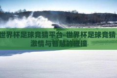 世界杯足球竞猜平台-世界杯足球竞猜，激情与智慧的碰撞