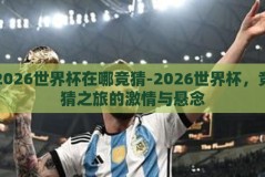 2026世界杯在哪竞猜-2026世界杯，竞猜之旅的激情与悬念