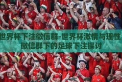 世界杯下注微信群-世界杯激情与理性，微信群下的足球下注探讨