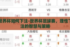 世界杯如何下注-世界杯足球赛，理性下注的智慧与策略