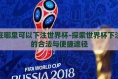 在哪里可以下注世界杯-探索世界杯下注的合法与便捷途径