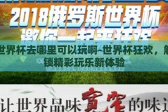 世界杯去哪里可以玩啊-世界杯狂欢，解锁精彩玩乐新体验