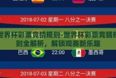 世界杯彩票竞猜规则-世界杯彩票竞猜规则全解析，解锁观赛新乐趣