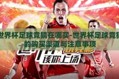 世界杯足球竞猜在哪买-世界杯足球竞猜的购买渠道与注意事项