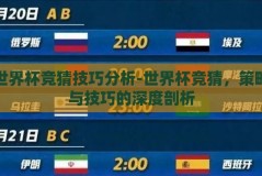 世界杯竞猜技巧分析-世界杯竞猜，策略与技巧的深度剖析