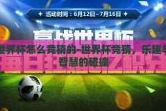 世界杯怎么竞猜的-世界杯竞猜，乐趣与智慧的碰撞