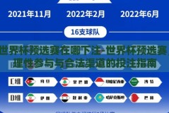 世界杯预选赛在哪下注-世界杯预选赛，理性参与与合法渠道的投注指南