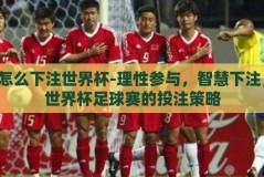 怎么下注世界杯-理性参与，智慧下注，世界杯足球赛的投注策略