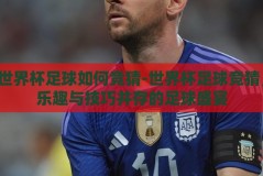 世界杯足球如何竞猜-世界杯足球竞猜，乐趣与技巧并存的足球盛宴