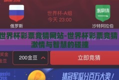 世界杯彩票竞猜网站-世界杯彩票竞猜，激情与智慧的碰撞