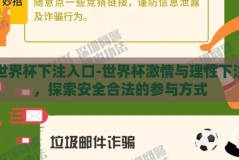 世界杯下注入口-世界杯激情与理性下注，探索安全合法的参与方式