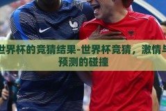 世界杯的竞猜结果-世界杯竞猜，激情与预测的碰撞