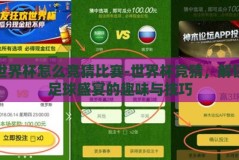 世界杯怎么竞猜比赛-世界杯竞猜，解锁足球盛宴的趣味与技巧