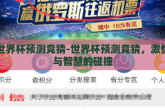 世界杯预测竞猜-世界杯预测竞猜，激情与智慧的碰撞