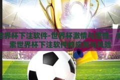 世界杯下注软件-世界杯激情与理性，探索世界杯下注软件的应用与风险