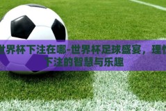 世界杯下注在哪-世界杯足球盛宴，理性下注的智慧与乐趣