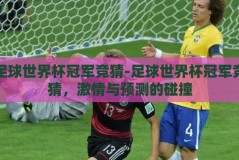 足球世界杯冠军竞猜-足球世界杯冠军竞猜，激情与预测的碰撞