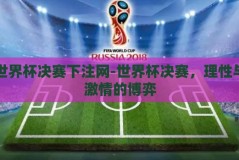 世界杯决赛下注网-世界杯决赛，理性与激情的博弈