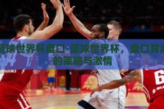篮球世界杯盘口-篮球世界杯，盘口背后的策略与激情