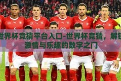 世界杯竞猜平台入口-世界杯竞猜，解锁激情与乐趣的数字之门