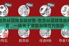 世界杯足球竞猜停售-世界杯足球竞猜停售，一场关于激情与理性的告别