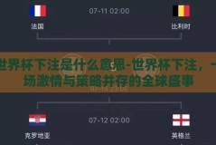 世界杯下注是什么意思-世界杯下注，一场激情与策略并存的全球盛事