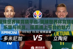 篮球世界杯竞猜平台-篮球世界杯竞猜的乐趣与挑战，探索线上平台的魅力