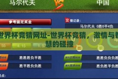 世界杯竞猜网址-世界杯竞猜，激情与智慧的碰撞