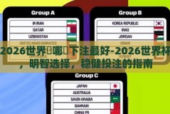 2026世界盃哪裡下注最好-2026世界杯，明智选择，稳健投注的指南