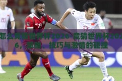 怎么竞猜世界杯2026-竞猜世界杯2026，策略、技巧与激情的碰撞