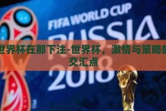 世界杯在那下注-世界杯，激情与策略的交汇点