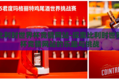 比利时世界杯竞猜网站-探索比利时世界杯竞猜网站的乐趣与挑战