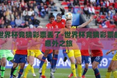 世界杯竞猜彩票丢了-世界杯竞猜彩票的意外之旅