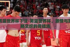 男篮世界杯下注-男篮世界杯，激情与策略交织的竞技场
