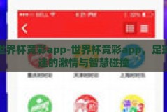 世界杯竞彩app-世界杯竞彩app，足球迷的激情与智慧碰撞