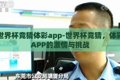 世界杯竞猜体彩app-世界杯竞猜，体彩APP的激情与挑战