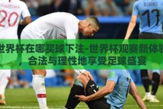 世界杯在哪买球下注-世界杯观赛新体验，合法与理性地享受足球盛宴