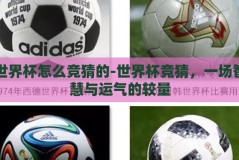 世界杯怎么竞猜的-世界杯竞猜，一场智慧与运气的较量
