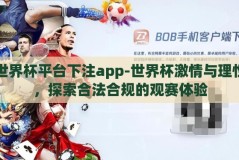 世界杯平台下注app-世界杯激情与理性，探索合法合规的观赛体验